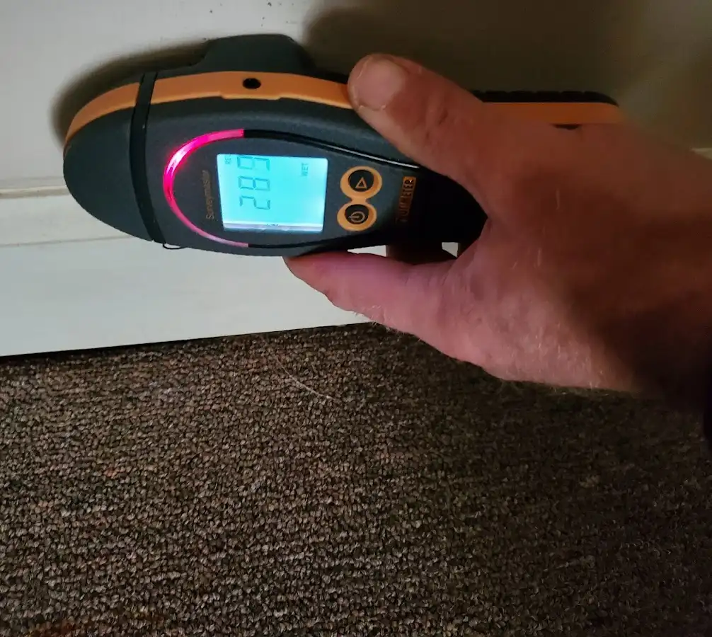 Moisture detection at baseboard during Mold Inspection & Testing in Mount Vernon